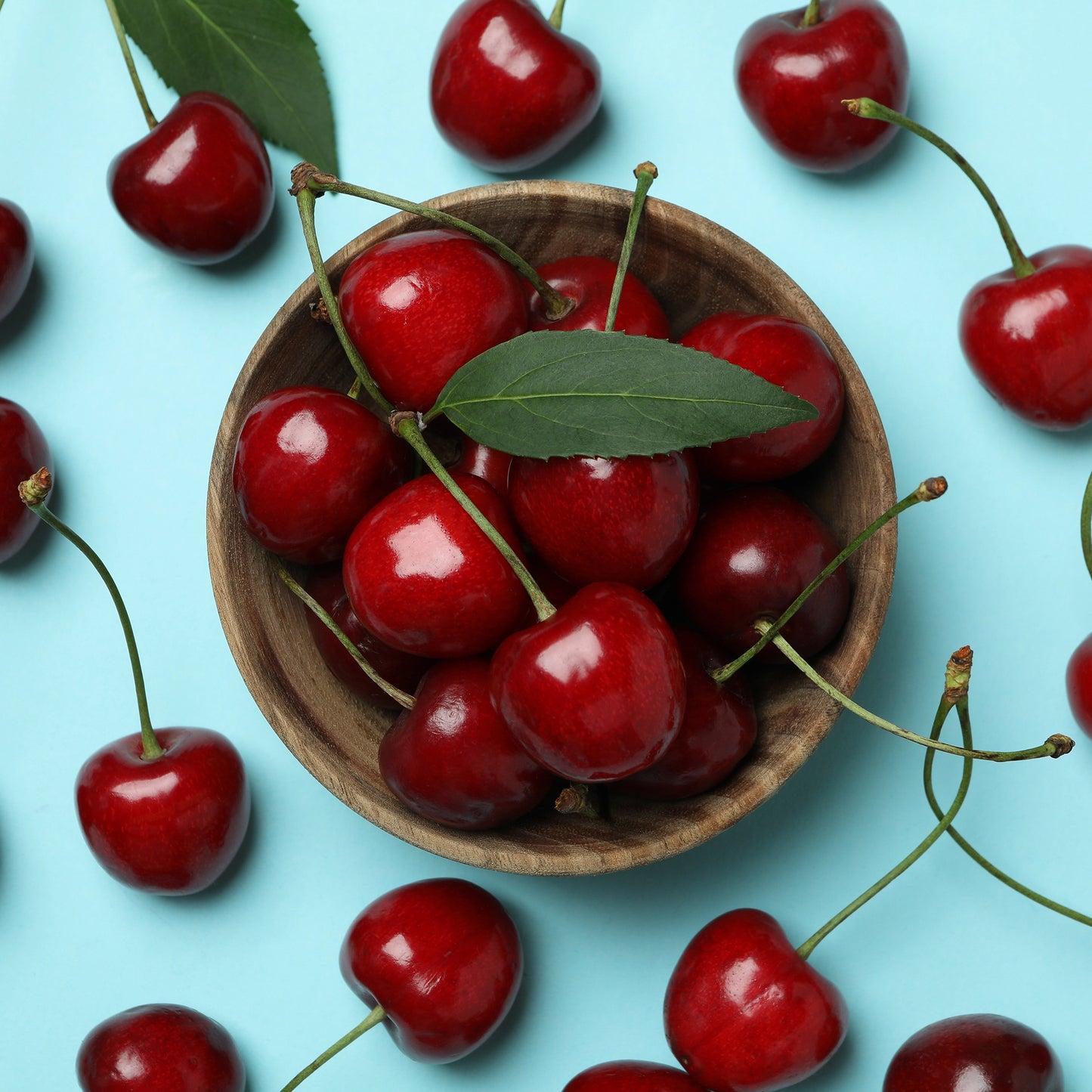 Black Cherry Mega Moisture Jumbo Lip Balm