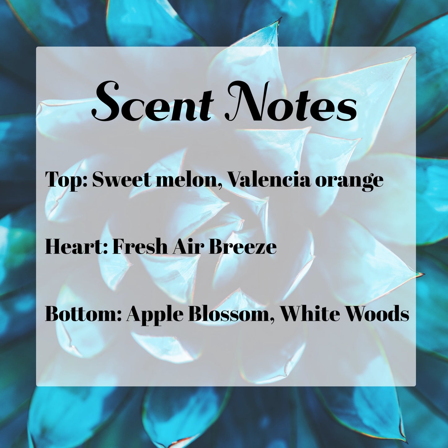 Blue Agave Melon Solid Perfume Stick