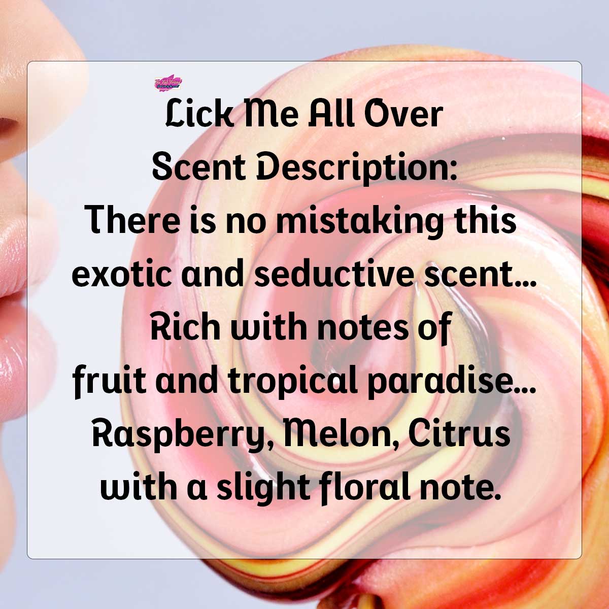 Lick Me All Over Shea Butter Sugar Scrub