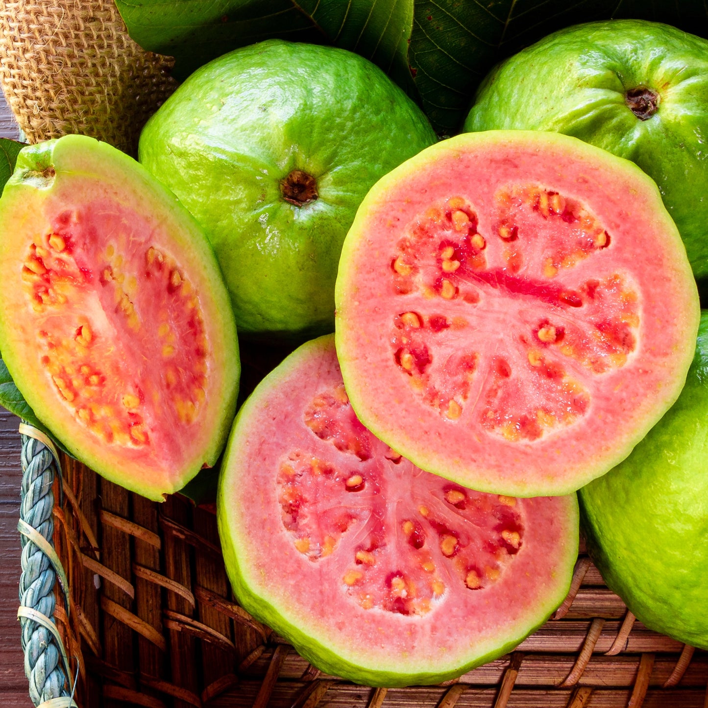 Pink Paradise Mega Moisture Jumbo Lip Balm