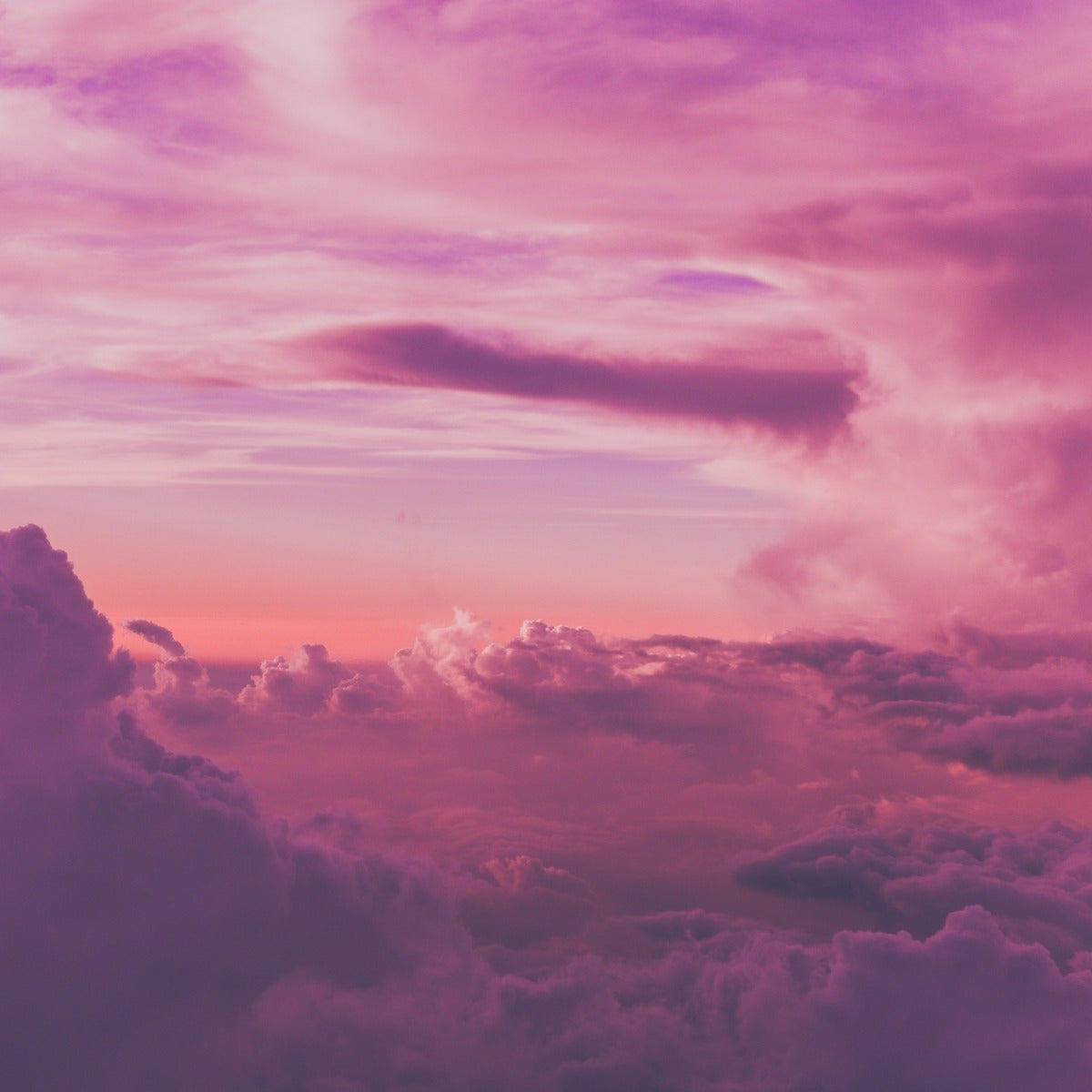 Pink and purple clouds in a sky with a sunset or sunrise.