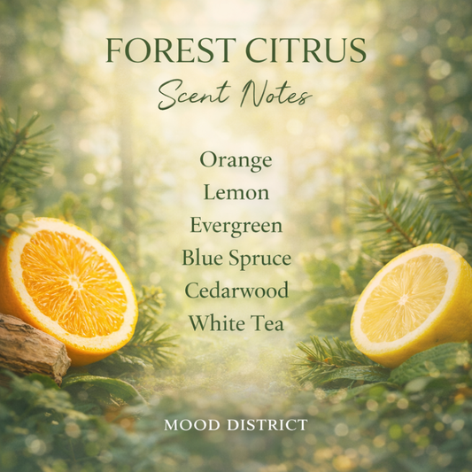 Forest Citrus - Vibe Setter
