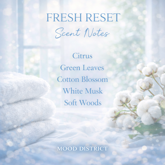 Fresh Reset - Vibe Setter
