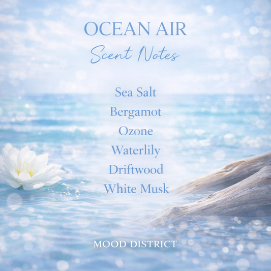 Ocean Air - Vibe Setter