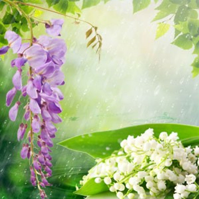 Soft Rain Wax Melts