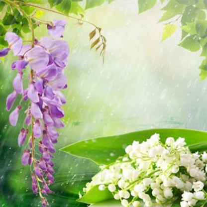Soft Rain Wax Melts