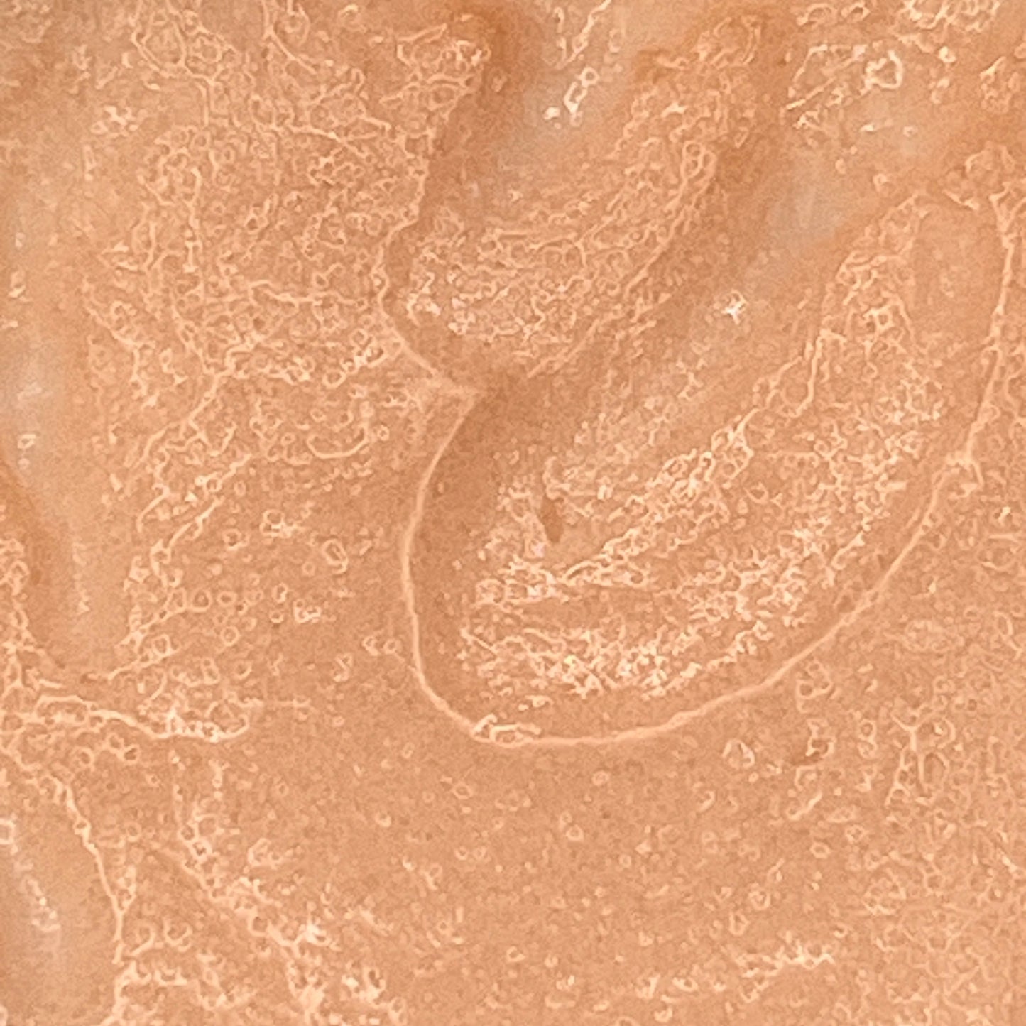 Pink Champagne Swirl - Foaming Sugar Scrub